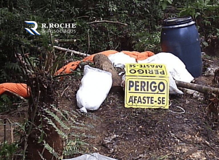 Design sem nome (22)